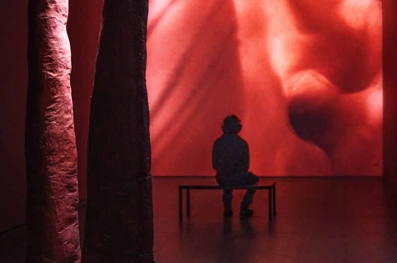 Ingela Ihrman, installationsvy Nattens lekar, 2026, Bonniers Konsthall. Foto: Jean-Baptiste Béranger