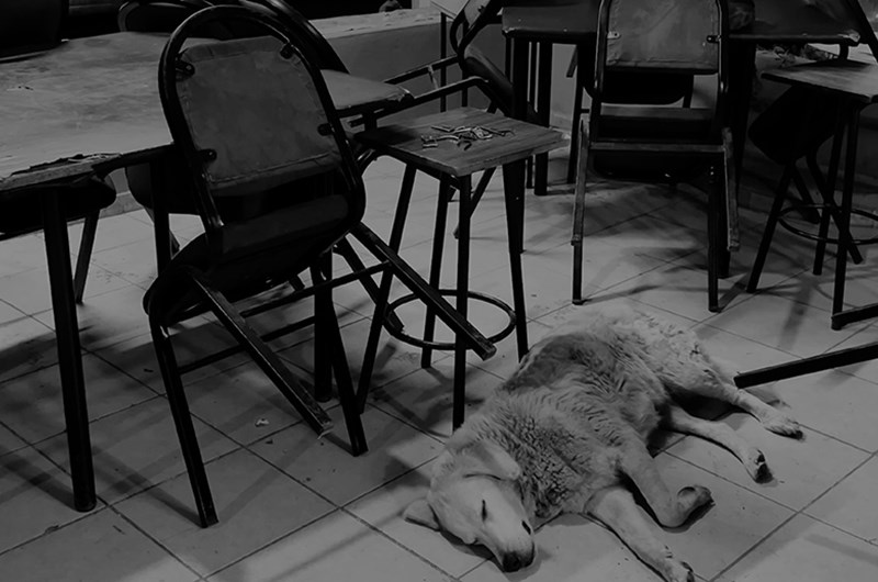 Fikret Atay, Echoes of Time Stillbild från filmen ”Echoes of Time”, 2026