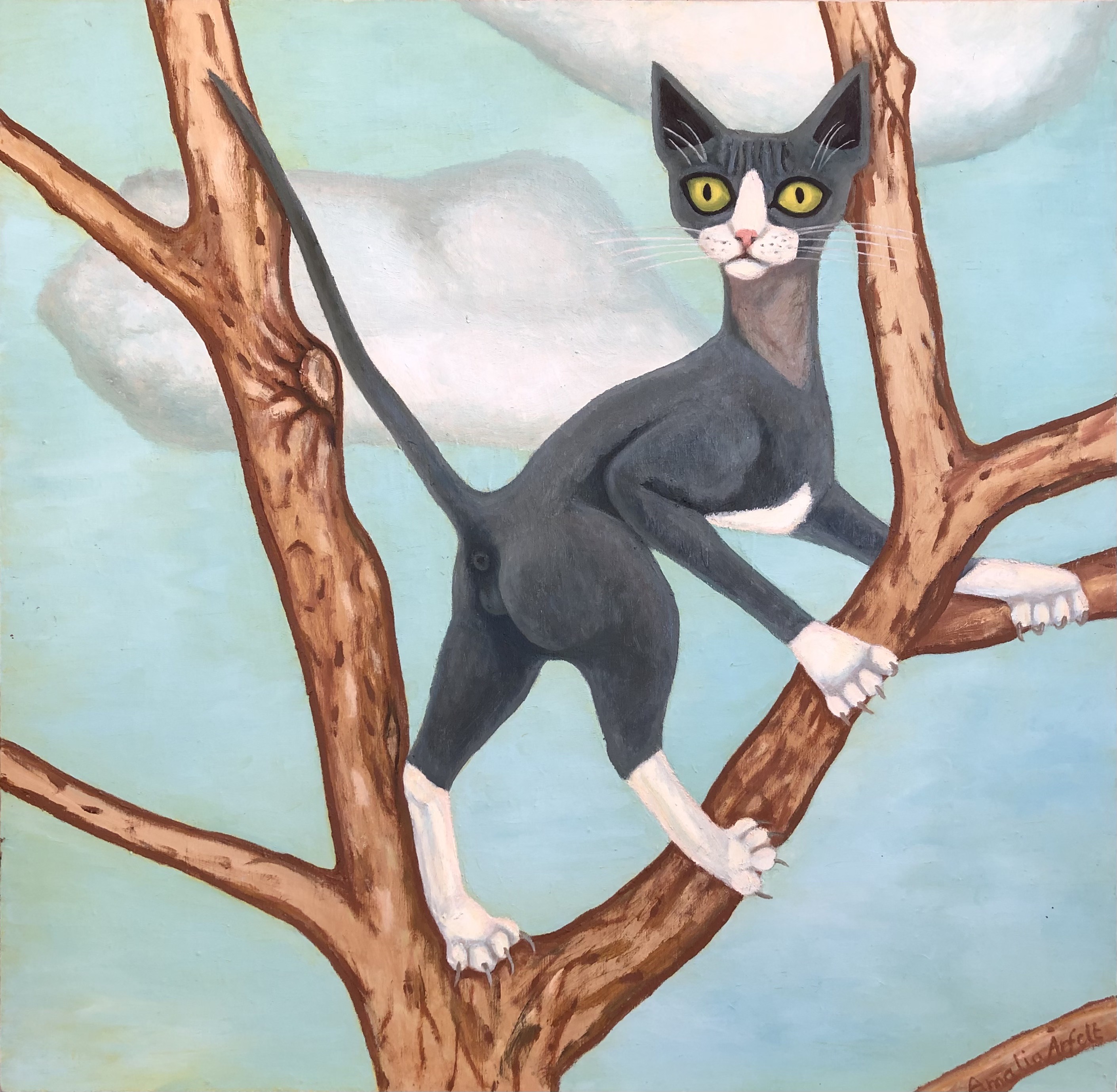 Katten Brorsan i trädet olja på pannå 70x72 cm