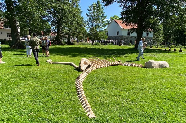 Konstsommar vid Rånäs Slott