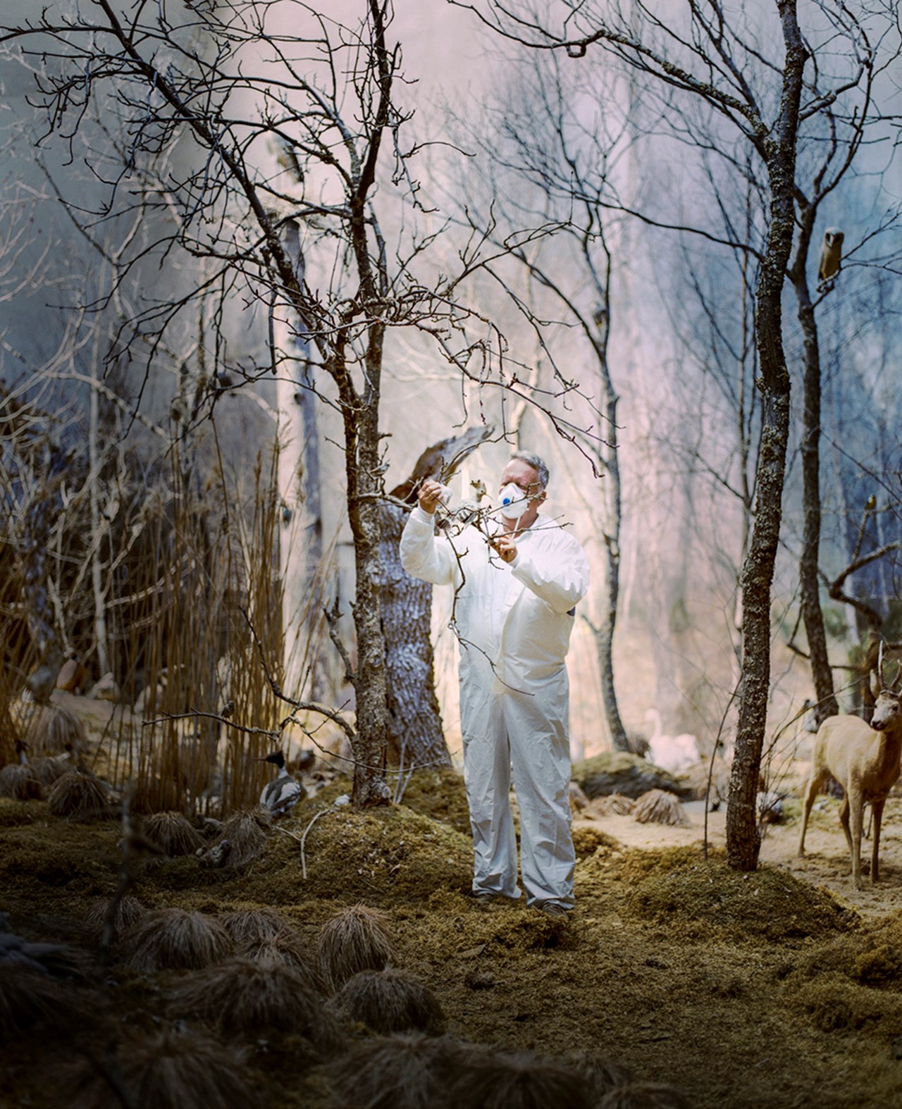 Albin Biblom - Theatre of the Wild