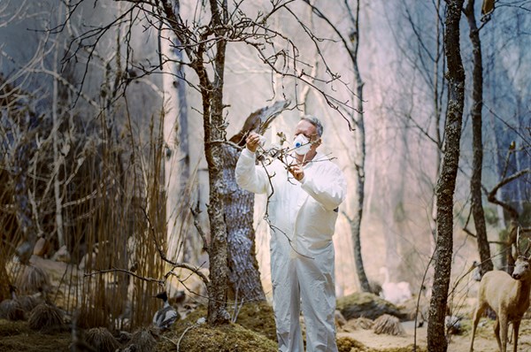 Albin Biblom - Theatre of the Wild