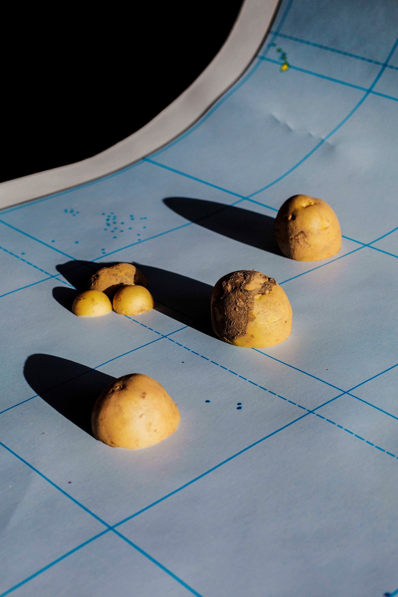Ana Núñez Rodríguez- Cooking Potato Stories