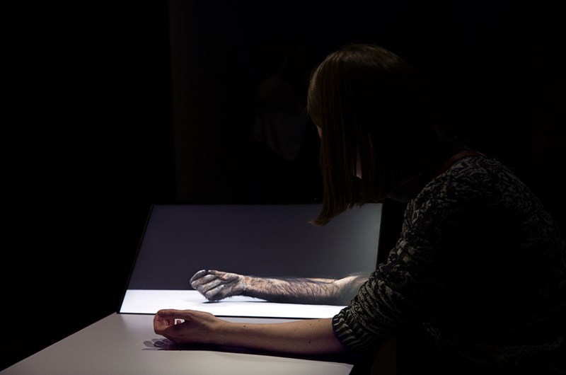 Eija-Liisa Ahtila, Potentiality for Love. Photo: Florian Langhammer.