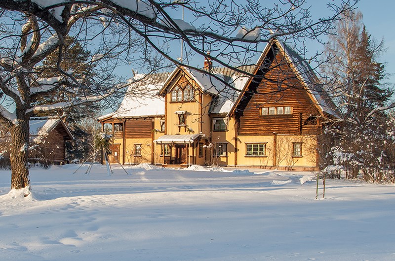 Zorngården vinter
