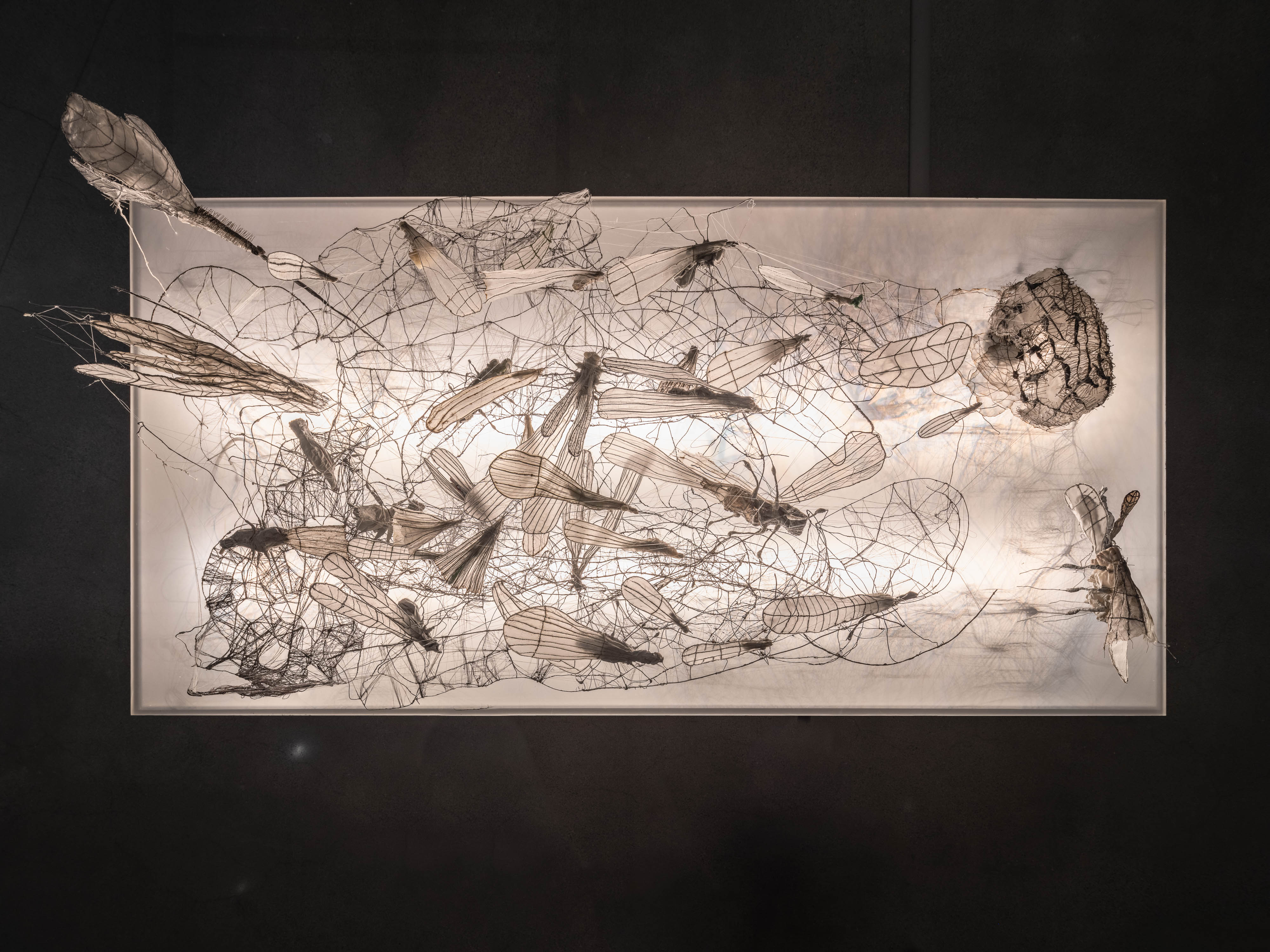 Bergrummet: Annika Liljedahl