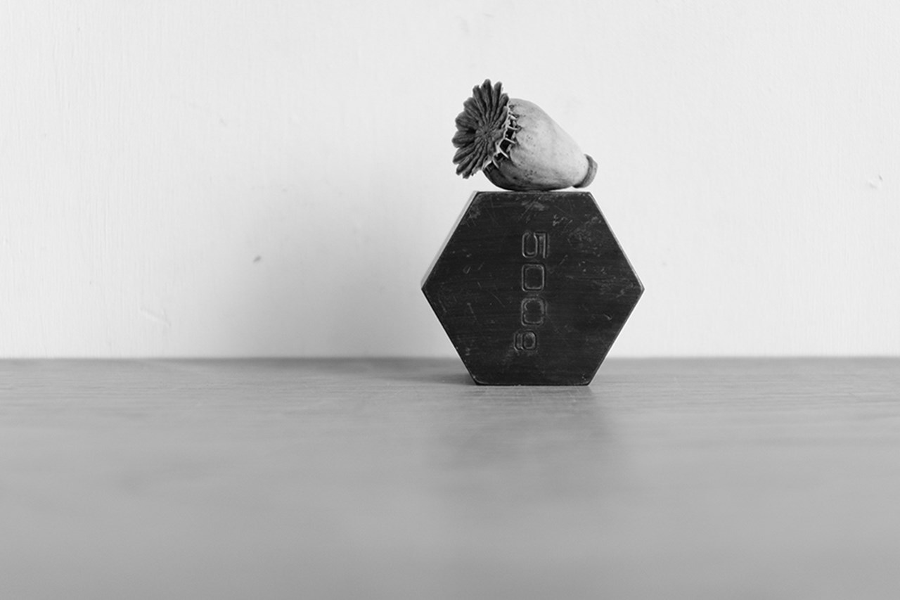 Martin West - Material