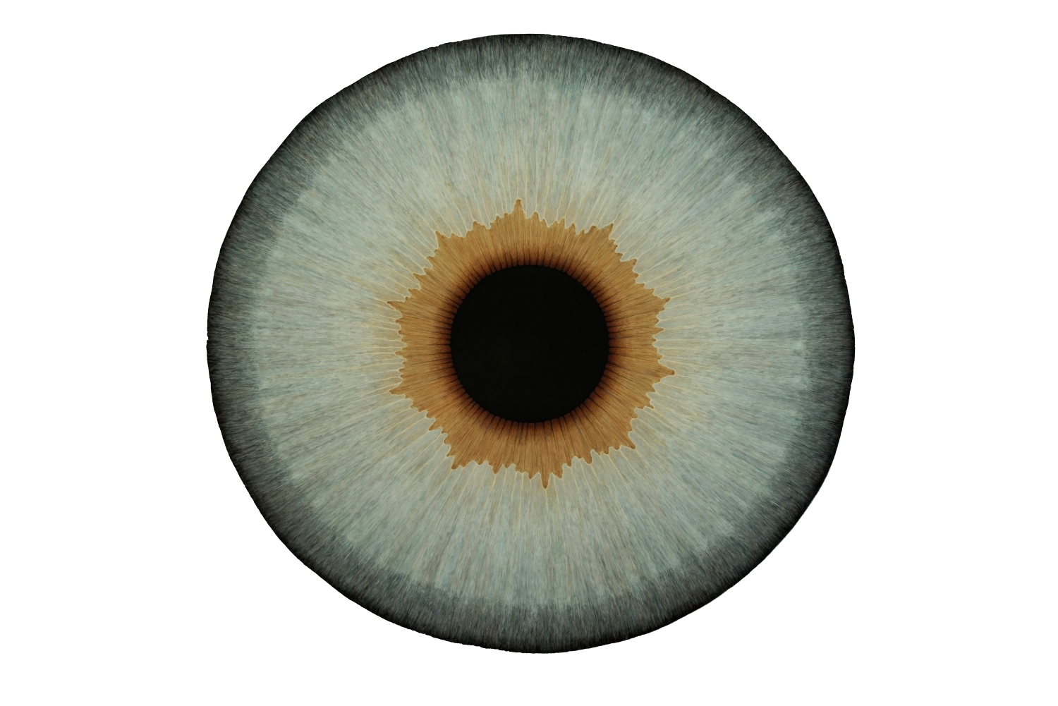 Ulla Wiggen – Passage