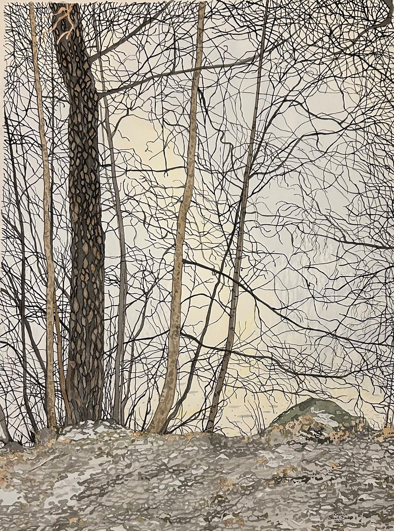 Jessica Stuart Beck