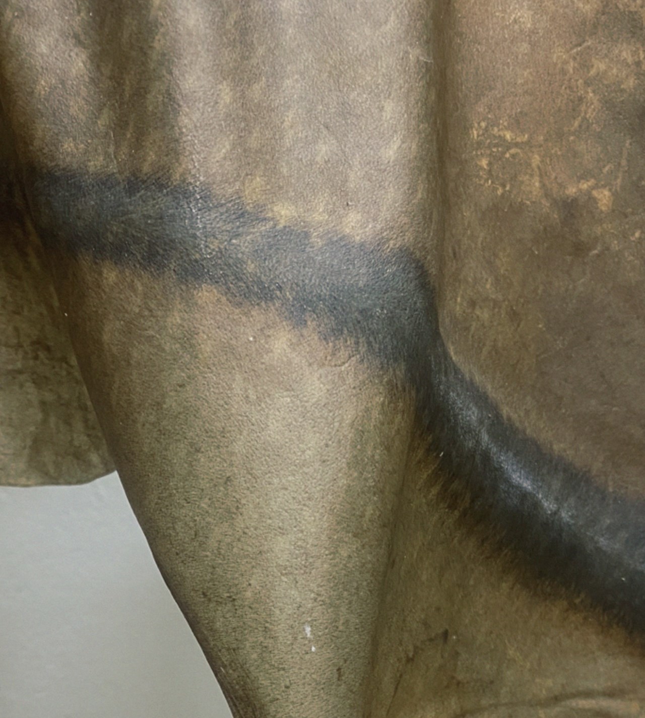 Fladdergång av Thale Vangen