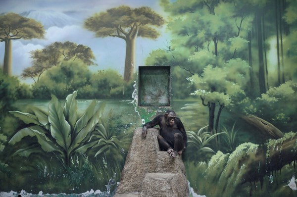 Zed Nelson – THE ANTHROPOCENE ILLUSION