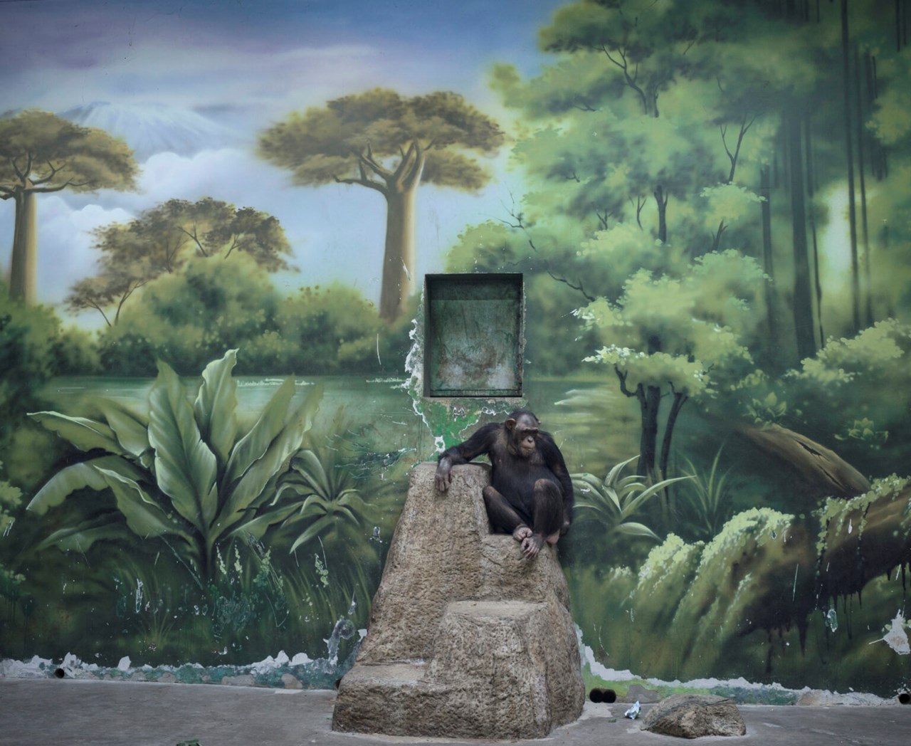 Zed Nelson – THE ANTHROPOCENE ILLUSION