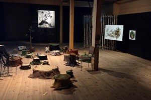 Det var en gång en skog - Sandra Magnusson