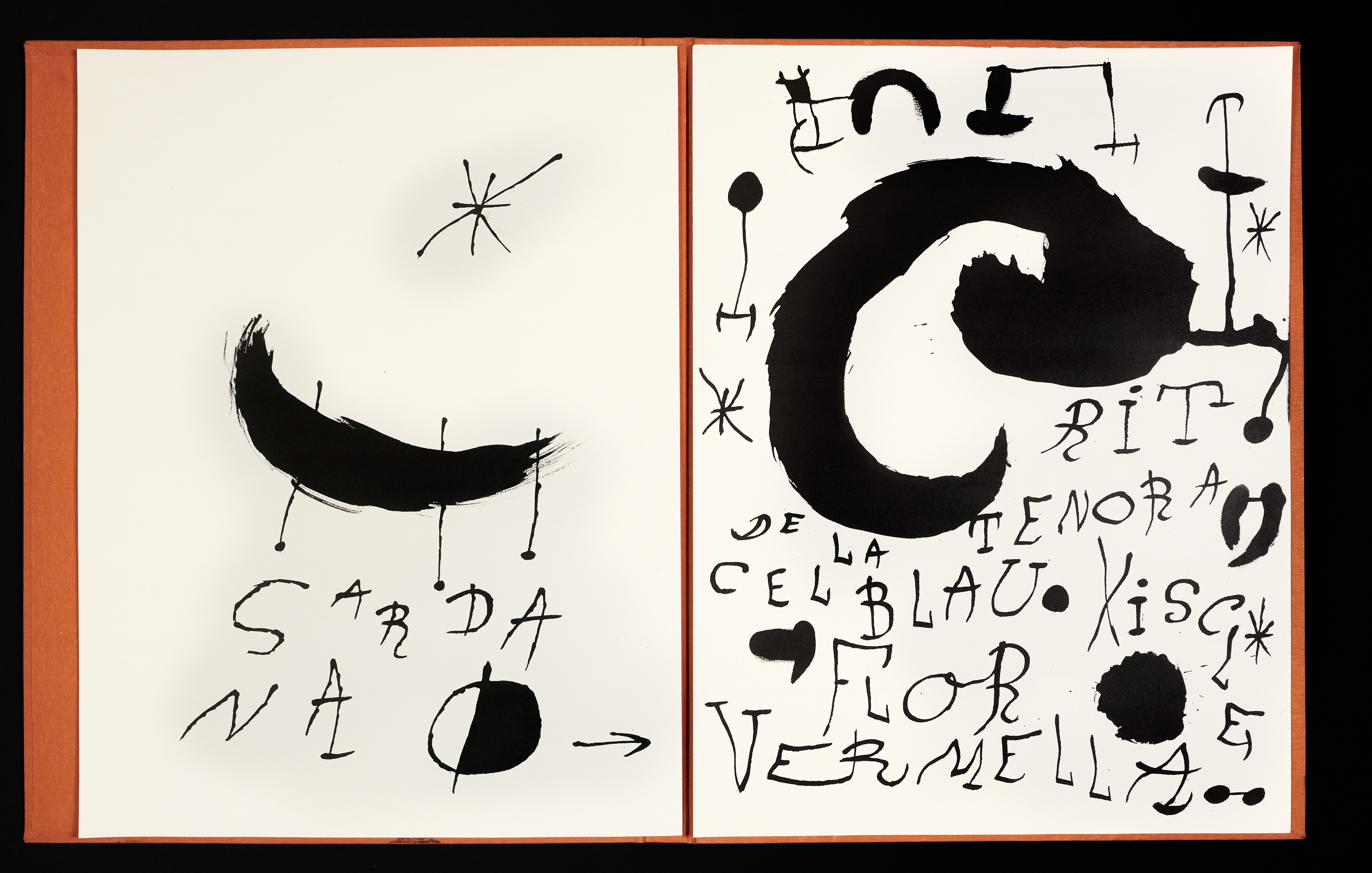 Joan Miró och månen