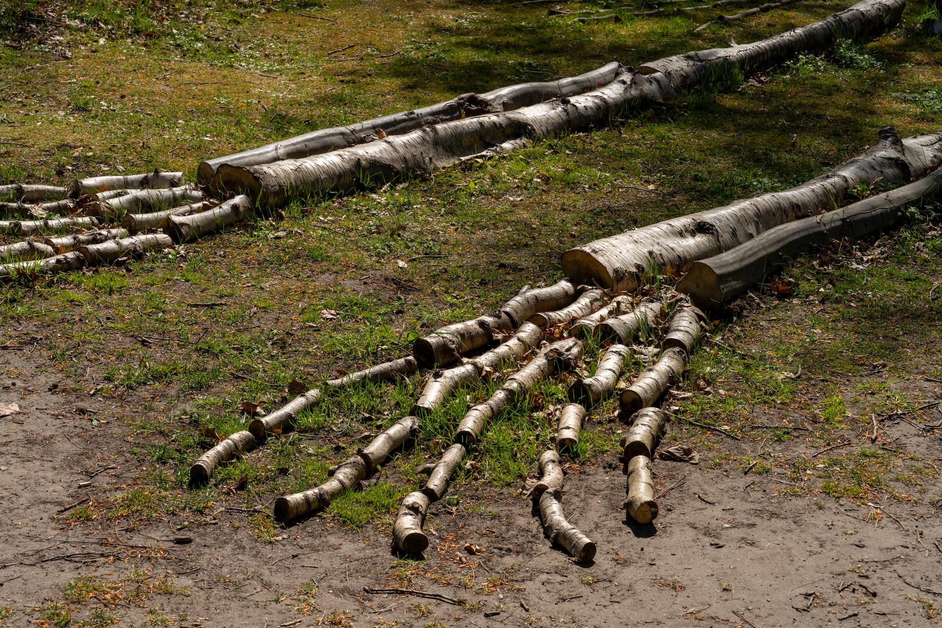 Landskapet kom först