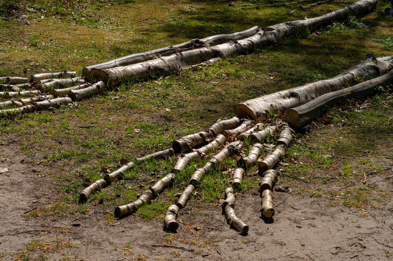 Landskapet kom först