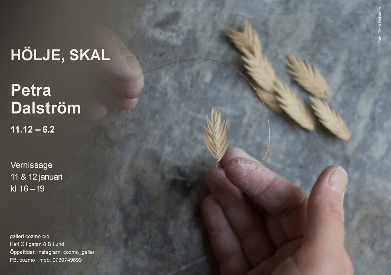 Petra Dalström – HÖLJE, SKAL