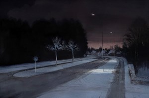 Magnus Petersson: Skymningsland