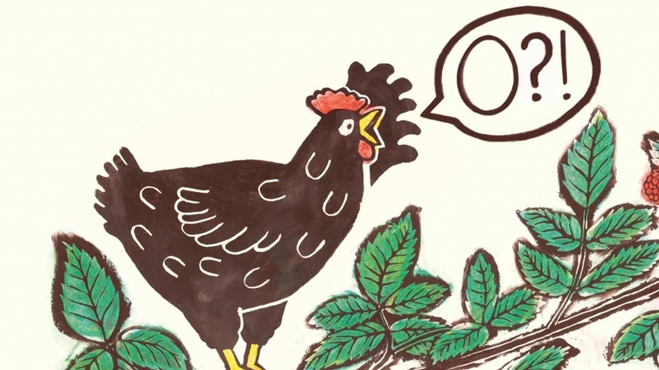 Årets svenska bilderbok / Var är mitt ägg?