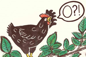 Årets svenska bilderbok / Var är mitt ägg?