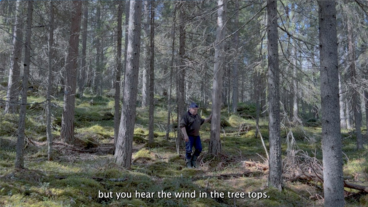 Åtta grader / Samtida konst om skogen