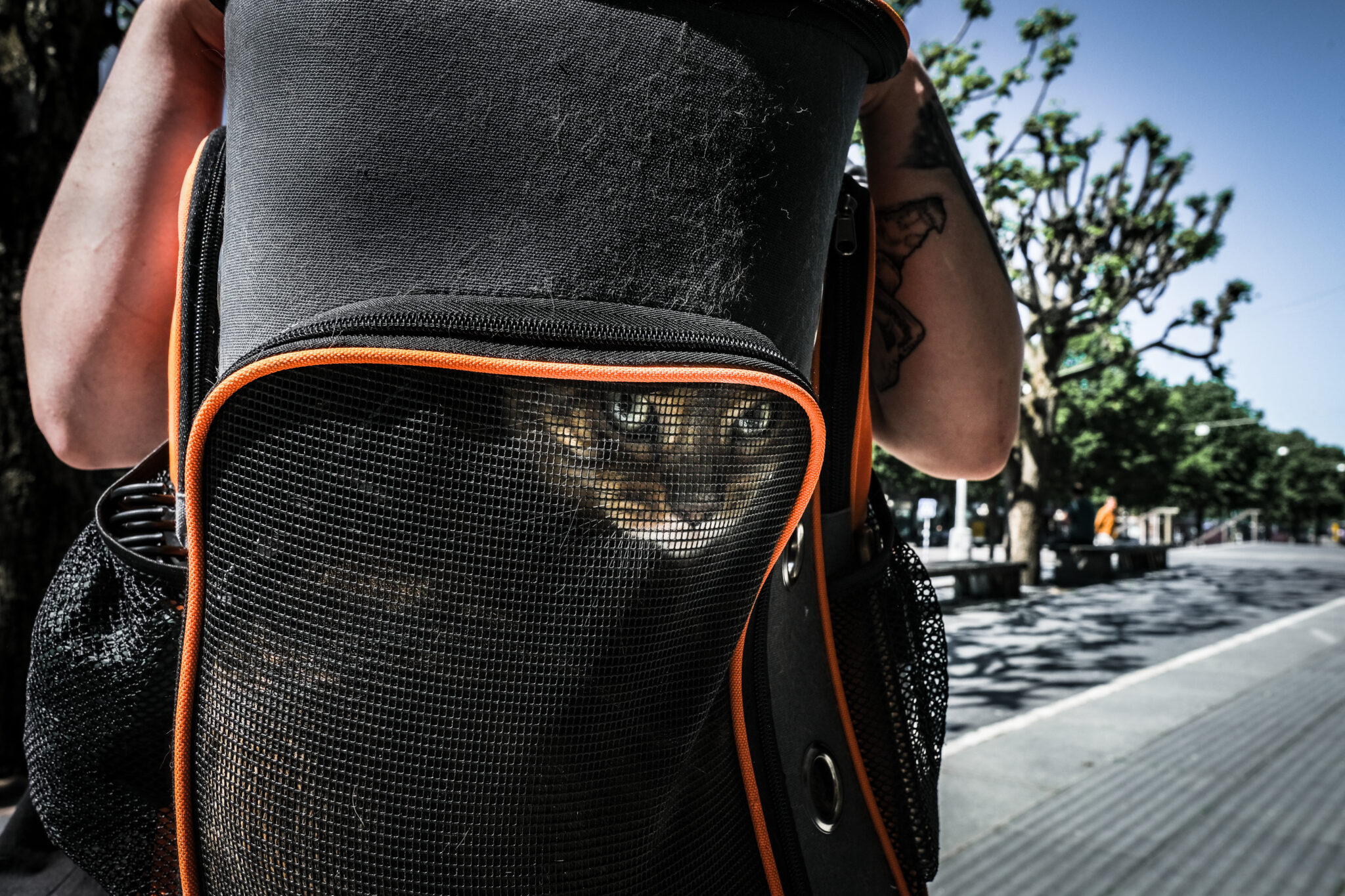 Anna Lithander – Ögonblick du missade