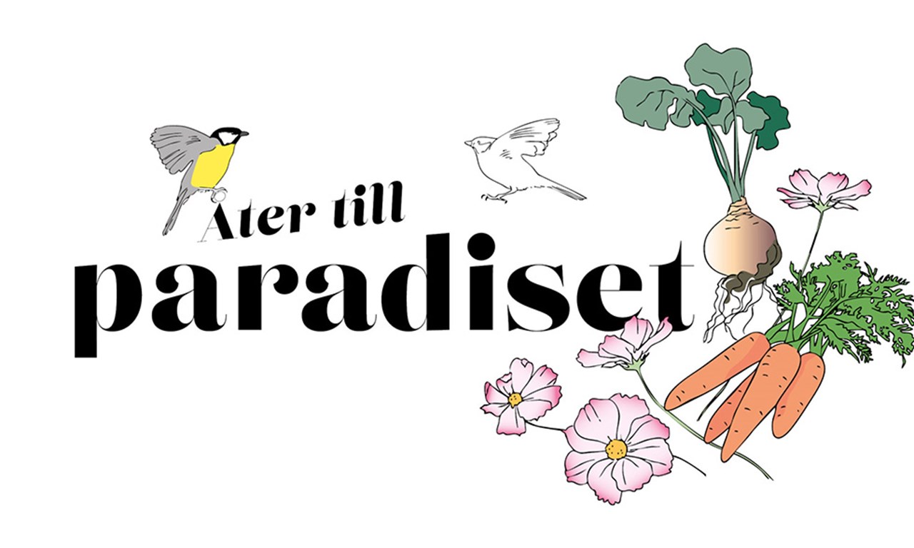 Åter till paradiset