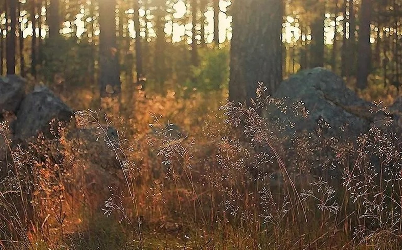 Österlenska landskap