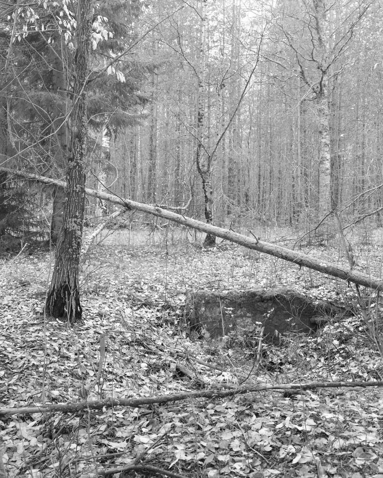 Hemmets fundament 