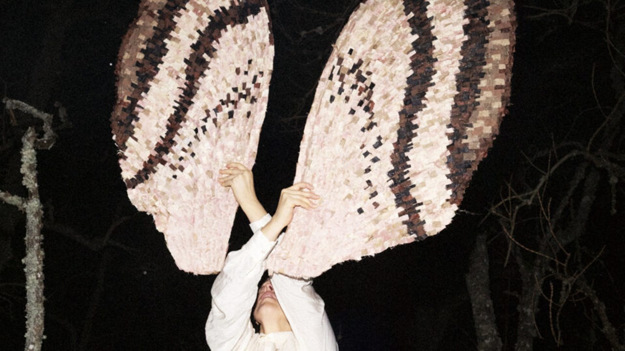 Nattens lekar – performance och visningar