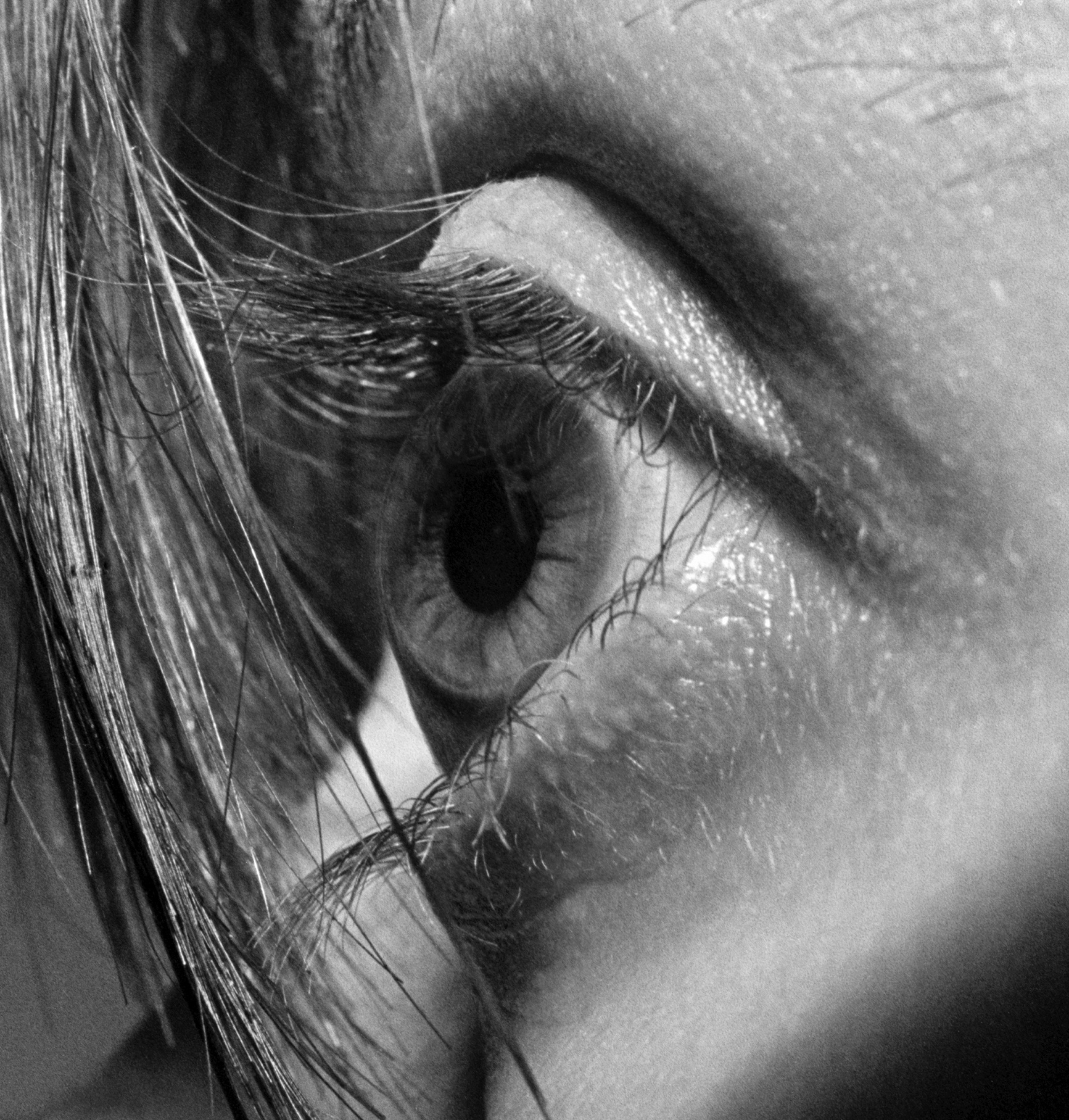 Eva Klasson – En konstnär träder fram