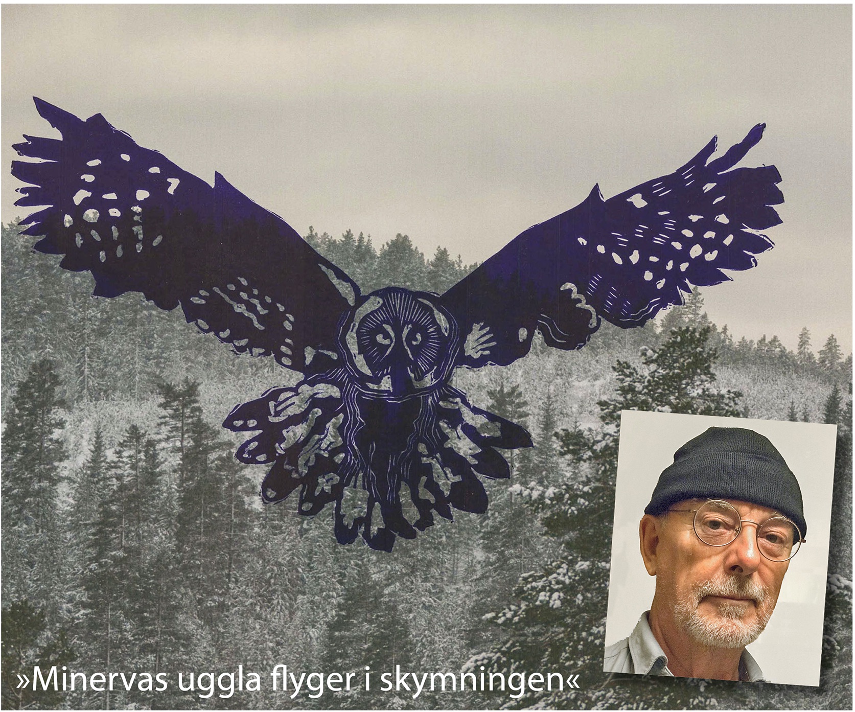 Minervas uggla flyger i skymningen - Göran Boardy