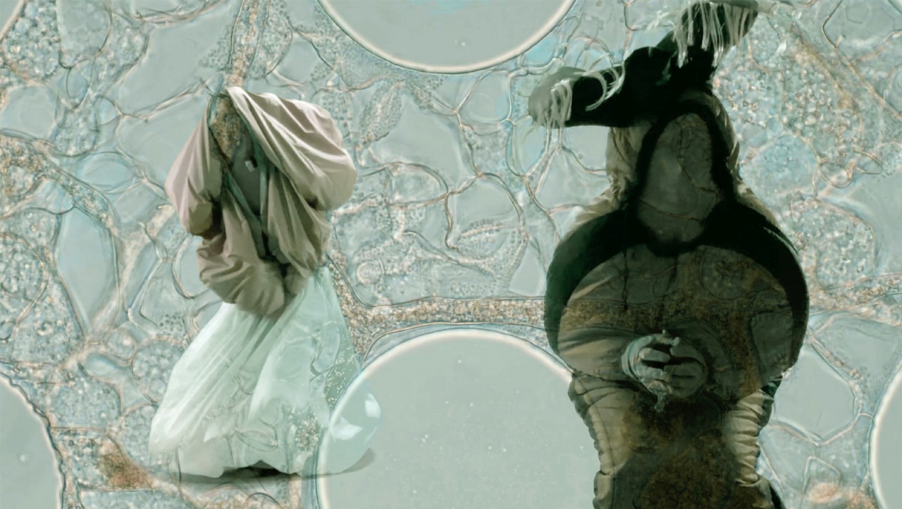 (p)Art of the Biomass