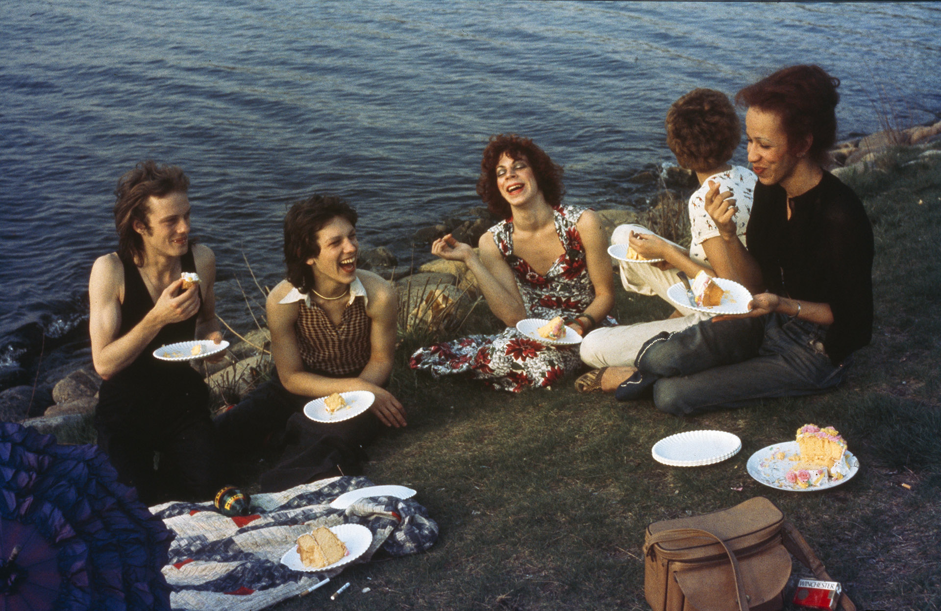 Nan_Goldin_picnic-on-the-esplanade-boston-1973
