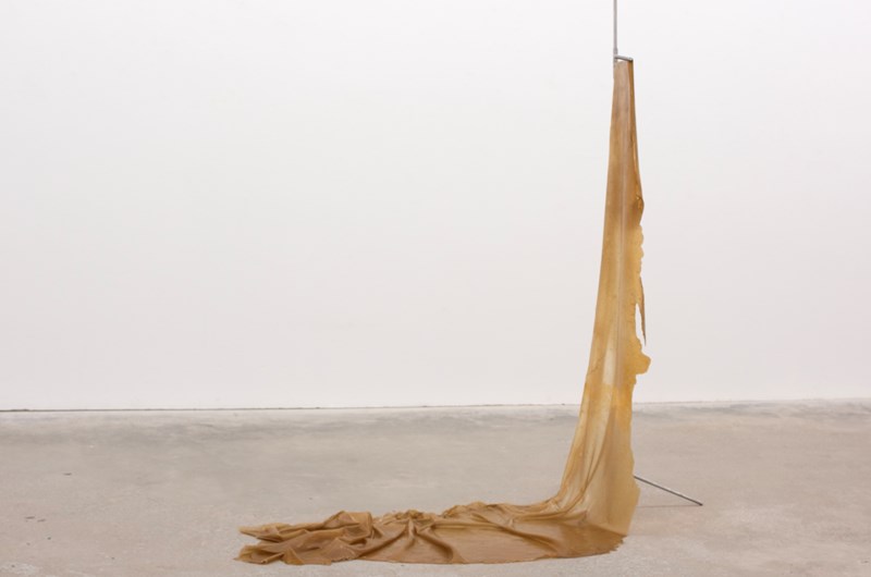 Sigrid Soomus