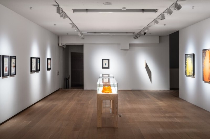 nstallationsvy ”Flare-Up” med verk ur serierna ”Sjöstjärna och citrustagg” till vänster, ”Efter landskap” till höger och ”Multipla ärr” i mitten. Foto: Jean-Baptiste Béranger