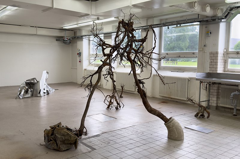 Pincettgreppet installationsvy (2024), Foto: Josefine Östlund