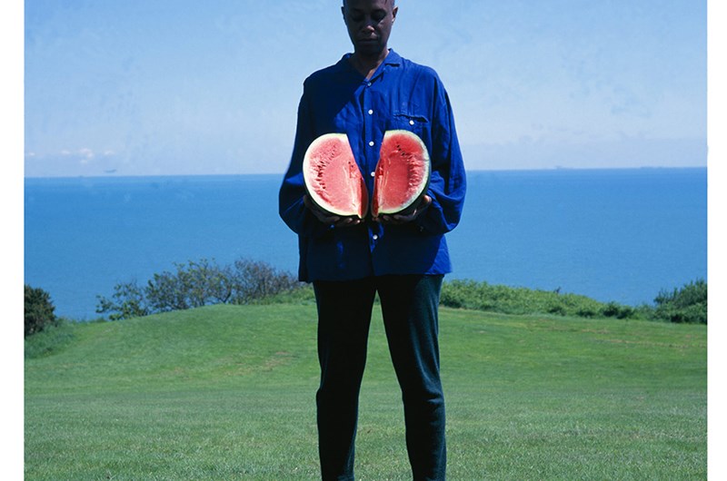 Self Evident (1995) © Ingrid Pollard