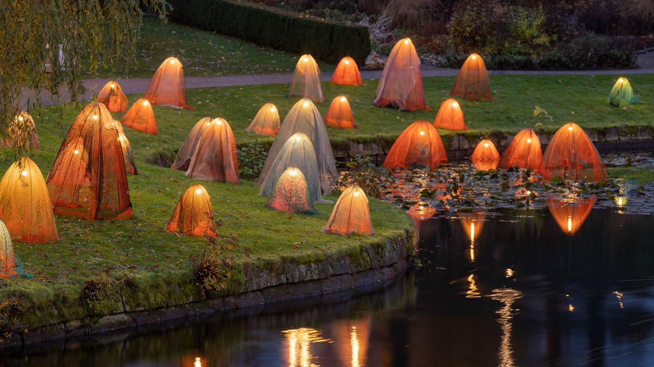 Borås Bright Art