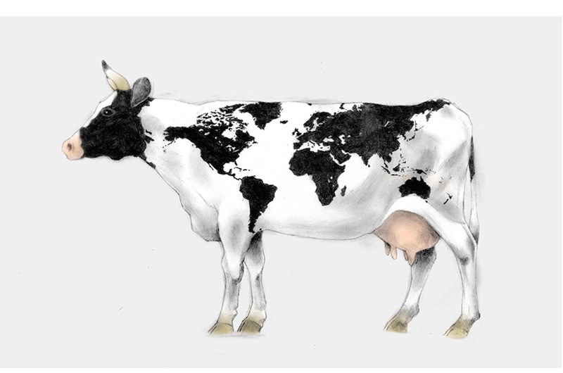 Lasse Åberg, World Cow
