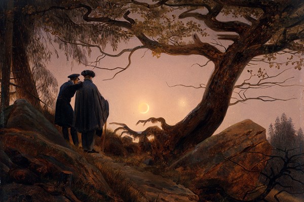 Den ack så farliga skönheten