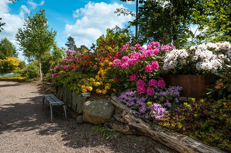Blomprakt i skulpturparken