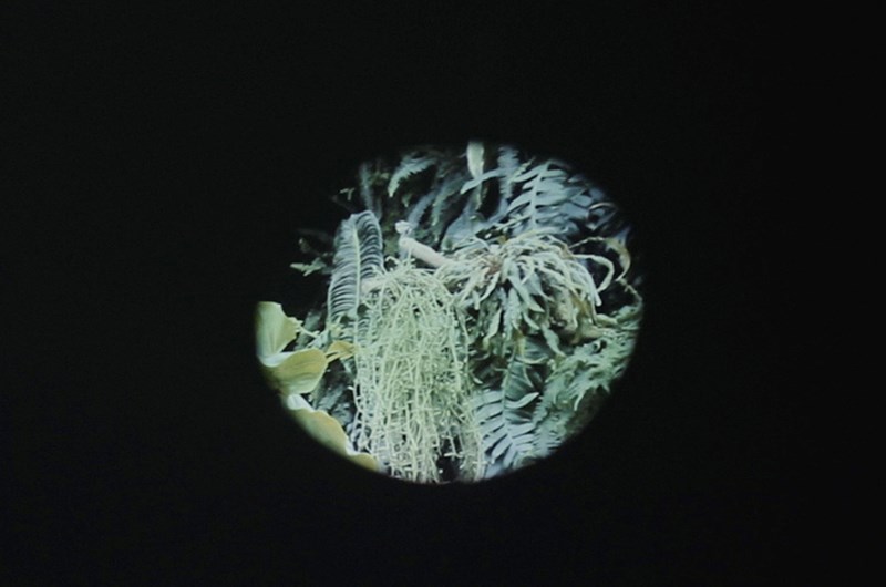 Lina Selander, The eye is the first circle, 2023, Videostills