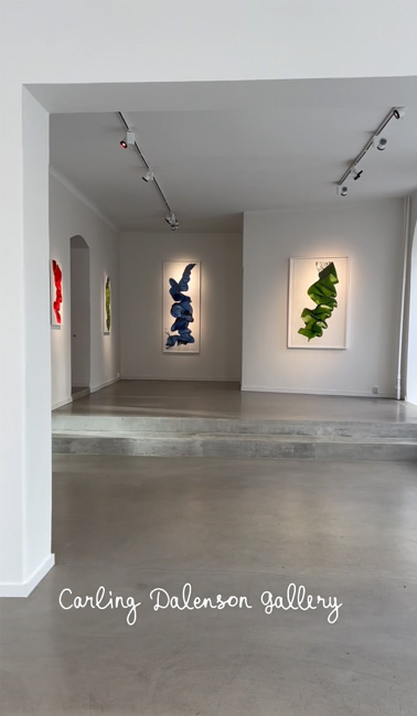 Jamie Nares - Carling Dalenson