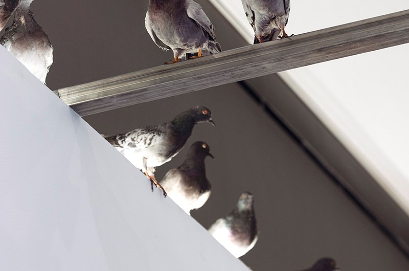 Maurizio Cattelan, Ghosts, 2021 Foto: My Matson/Moderna Museet © Maurizio Cattelan 2024
