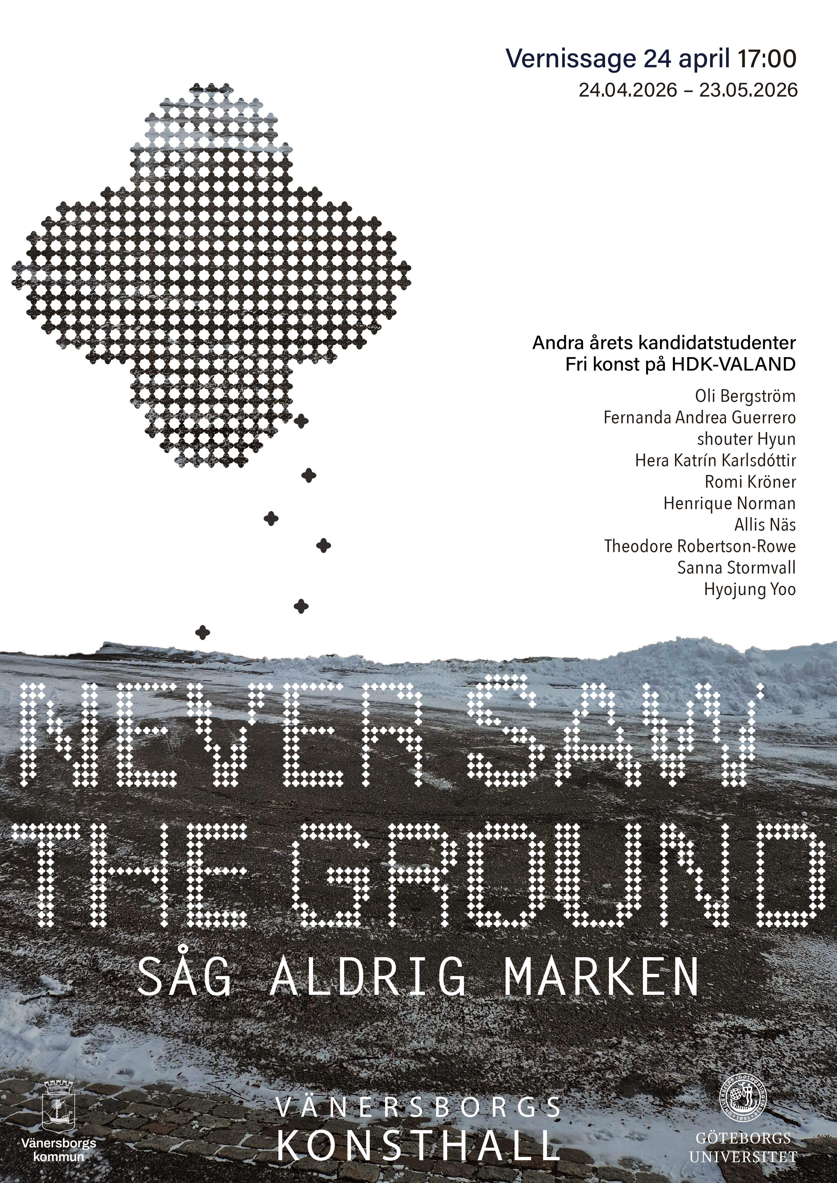 Never Saw the Ground/ Såg aldrig marken
