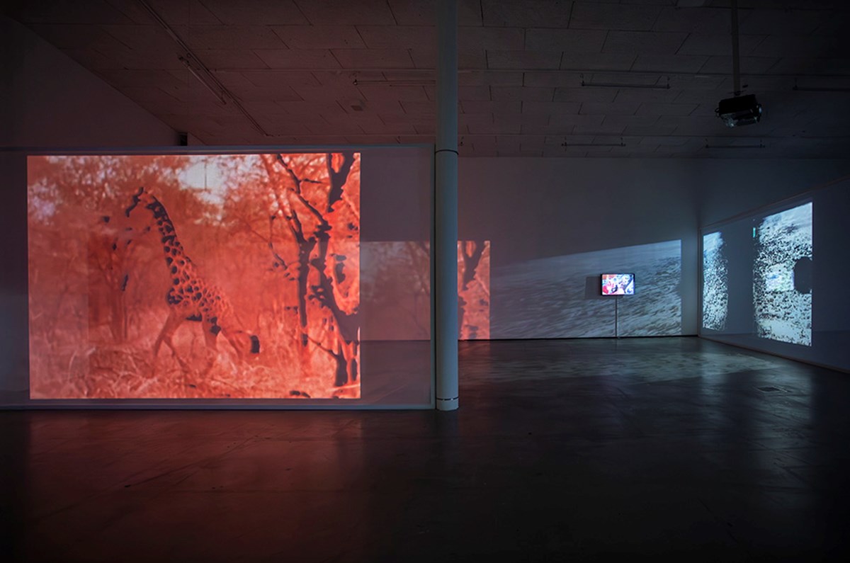 RECENSION: Lina Selander på Marabouparkens Konsthall