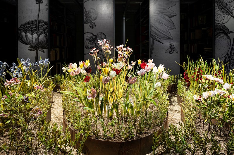 Lilla Tabasso, Crispijn de Passe’s Garden, 2025. Installation in Murano glas, ca 300 x 200 cm, © Draiflessen Collection, Mettingen. Foto: Fred Dott, Hamburg.
