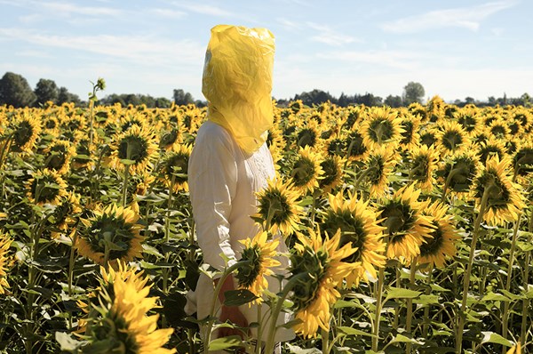 SOLROSOR är mycket mer än VAN GOGH