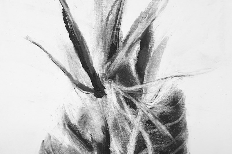 Strelitzia - Anne -Lie Larsson Ljung